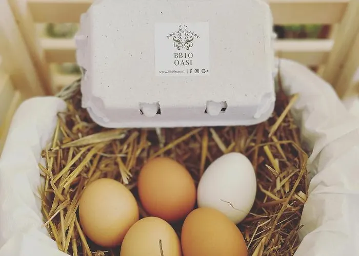 컨트리하우스 Bb10 Oasi *